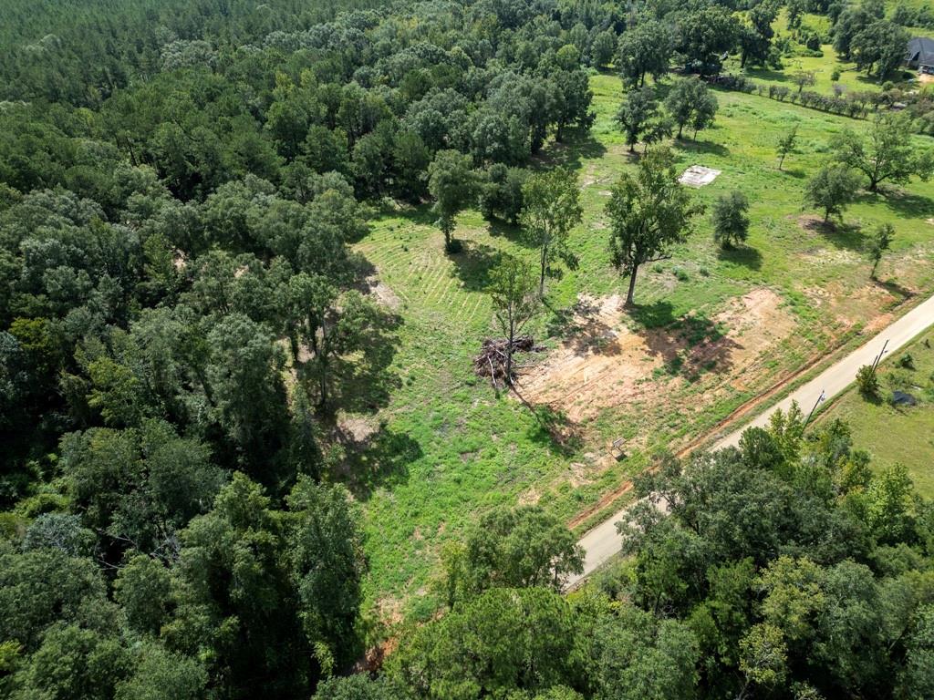 Tract 8 Cyprian Vacant Land Road, Loranger, Louisiana image 6