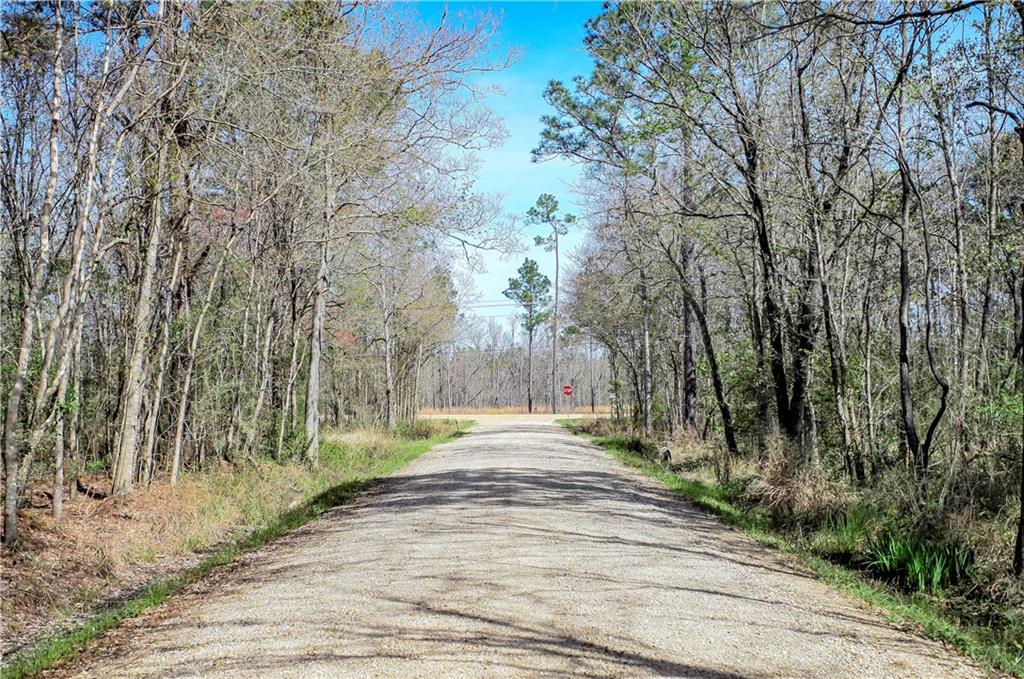 Trap Street, Abita Springs, Louisiana image 1