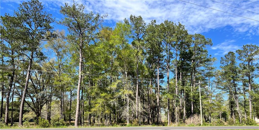 Hwy 1088 Highway, Mandeville, Louisiana image 1