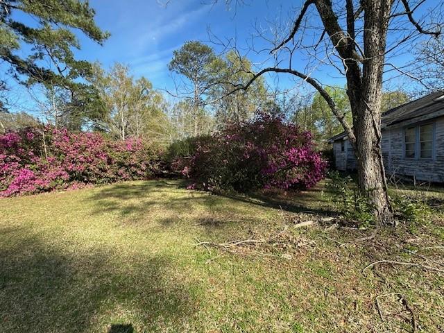 1121 Harrison Street, Bogalusa, Louisiana image 4