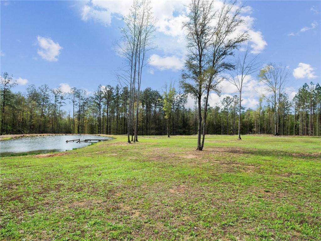 28000 W Burlwood Place, Abita Springs, Louisiana image 38