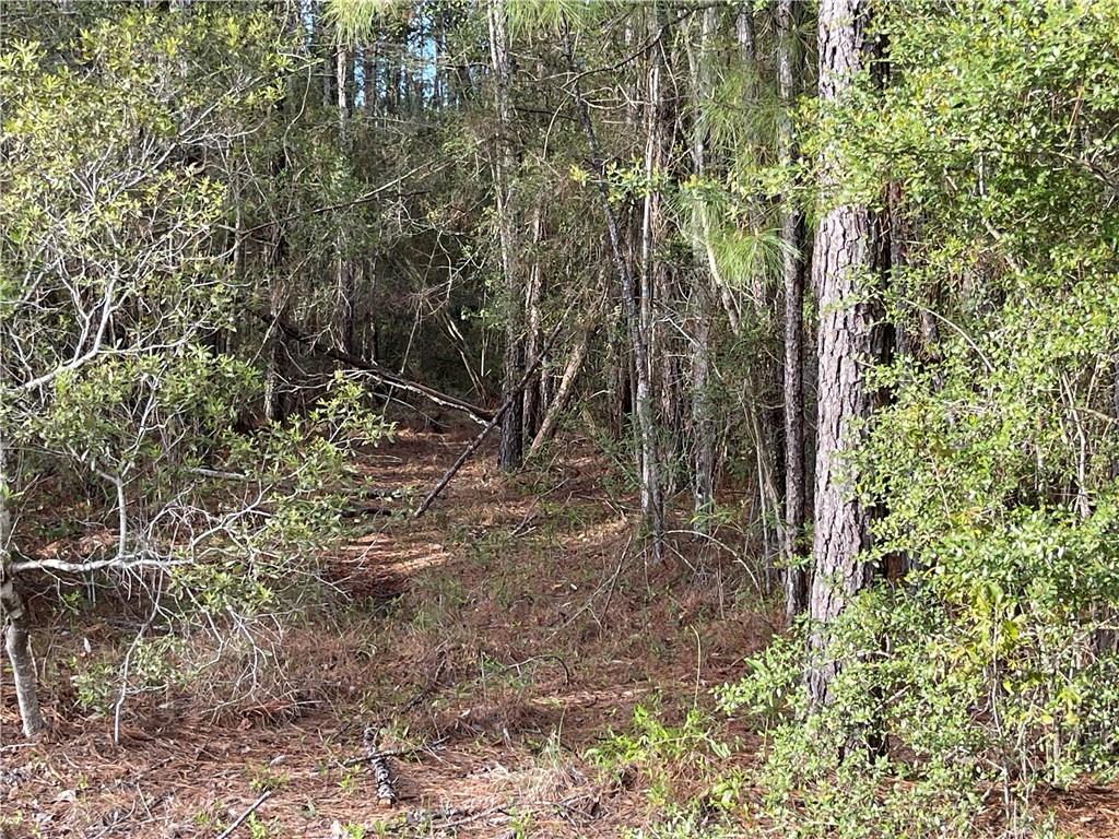 Bob Levy Road, Talisheek, LA 