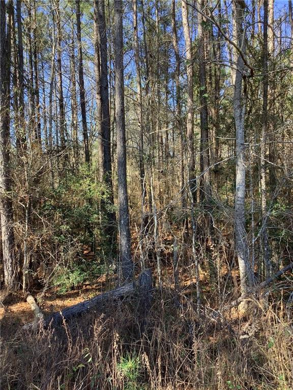 1 Acre With Shop Jw Riles Road, Mount Hermon, Louisiana image 2