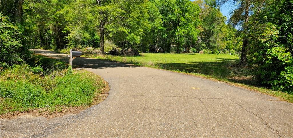 81081 L Crawford Road, Bush, Louisiana image 4