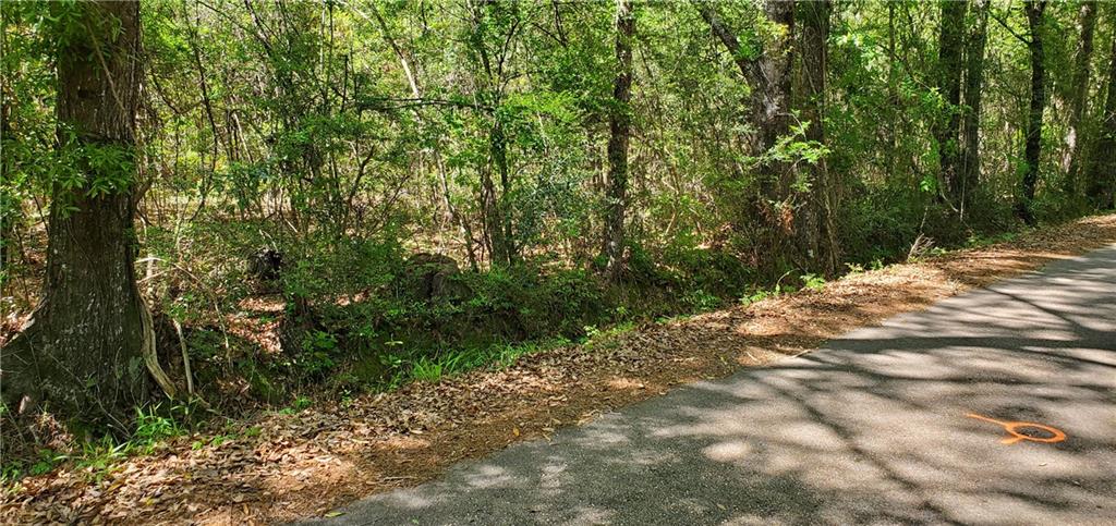 81081 L Crawford Road, Bush, Louisiana image 8