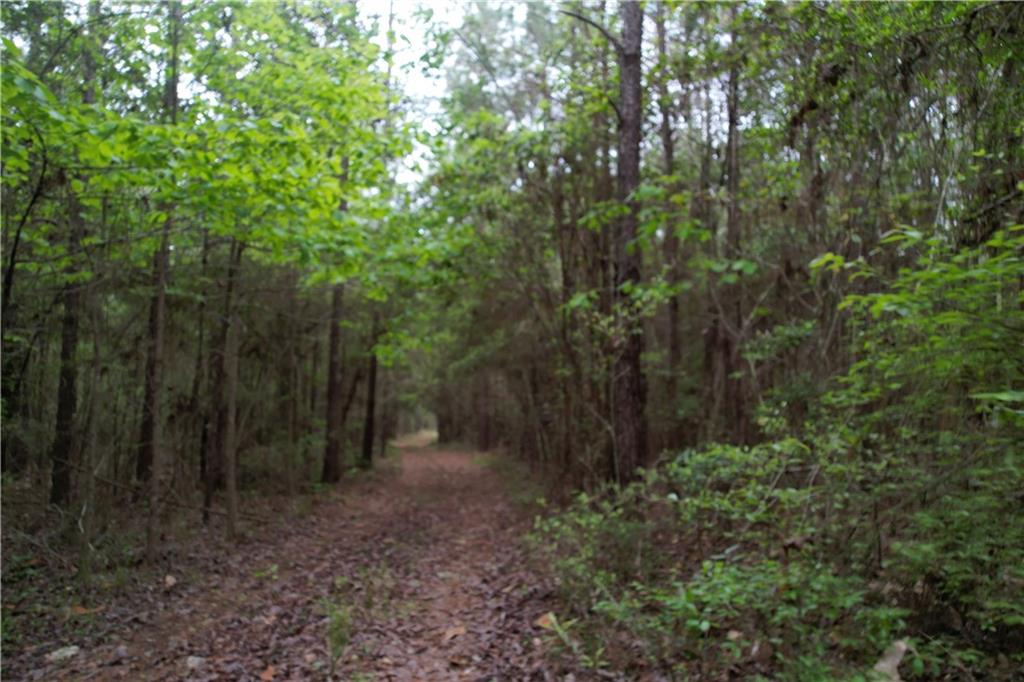 TBD Moonhaven Road, Franklinton, Louisiana image 22