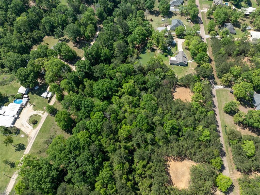 Lost Hills Drive, Bush, Louisiana image 4