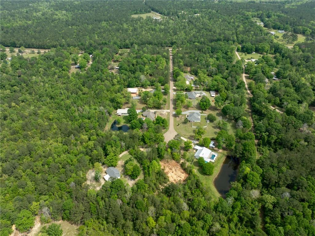 Lost Hills Drive, Bush, Louisiana image 4