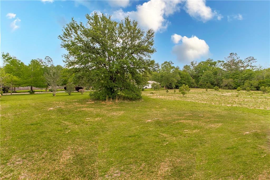 1638 Louis Lane, Bogalusa, Louisiana image 36