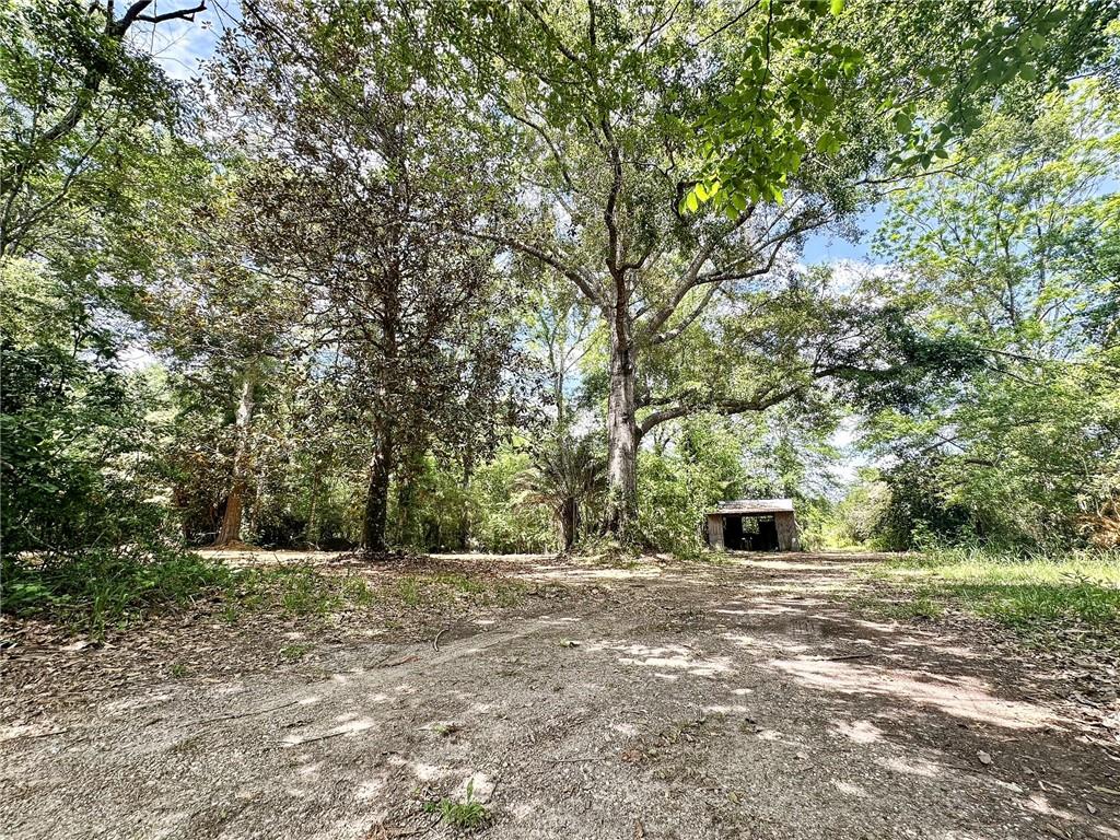 49331 Highway 16 16 Highway, Franklinton, Louisiana image 1