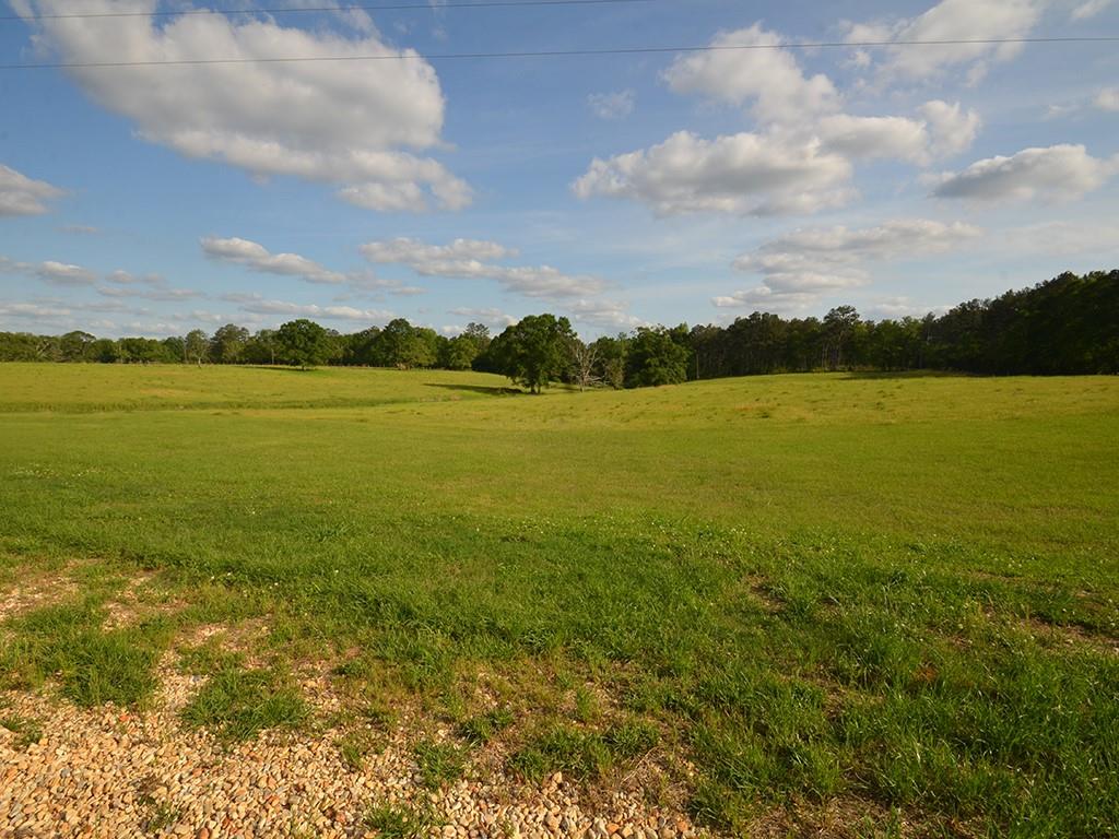 18590 Gene Williams Road, Franklinton, Louisiana image 5