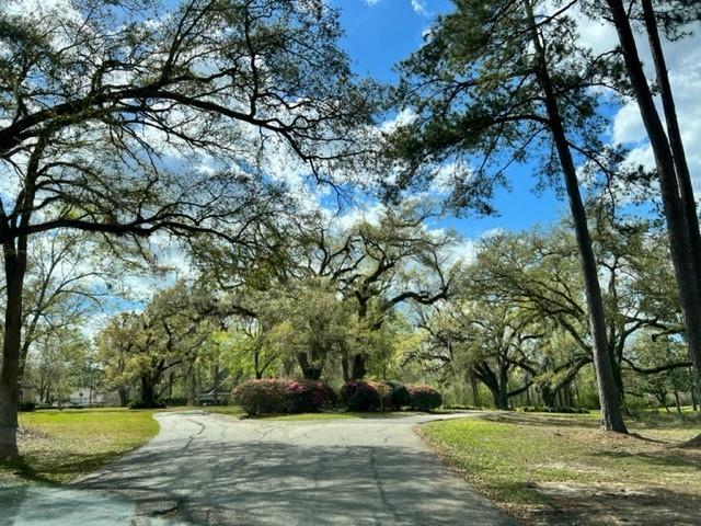 Mattingly Lane, Madisonville, Louisiana image 2