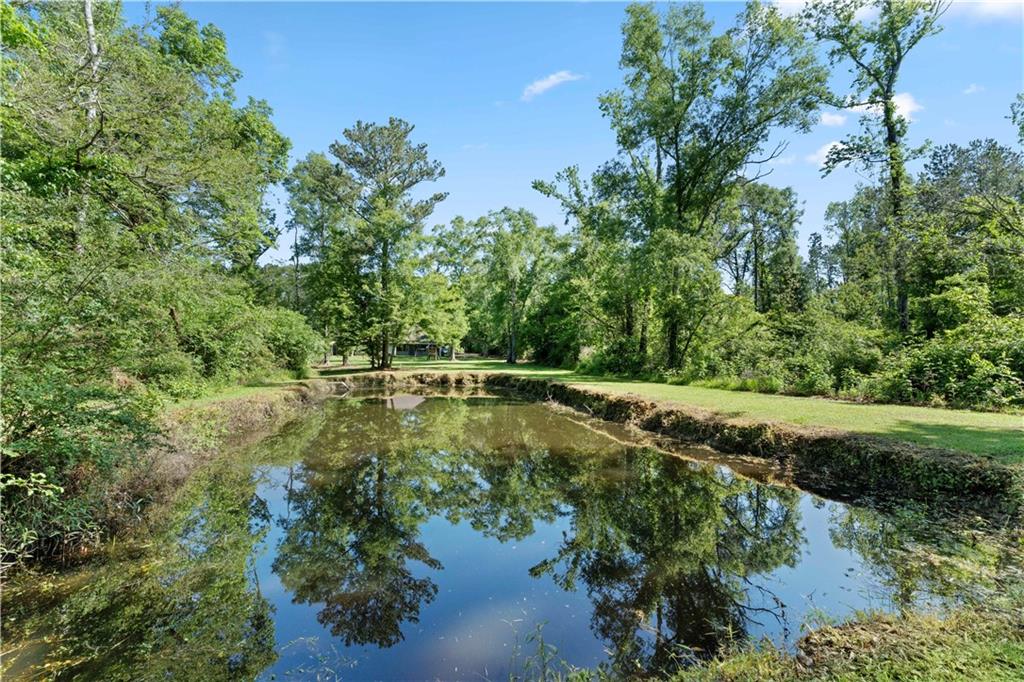 21064 Chappepeela Road, Loranger, Louisiana image 24