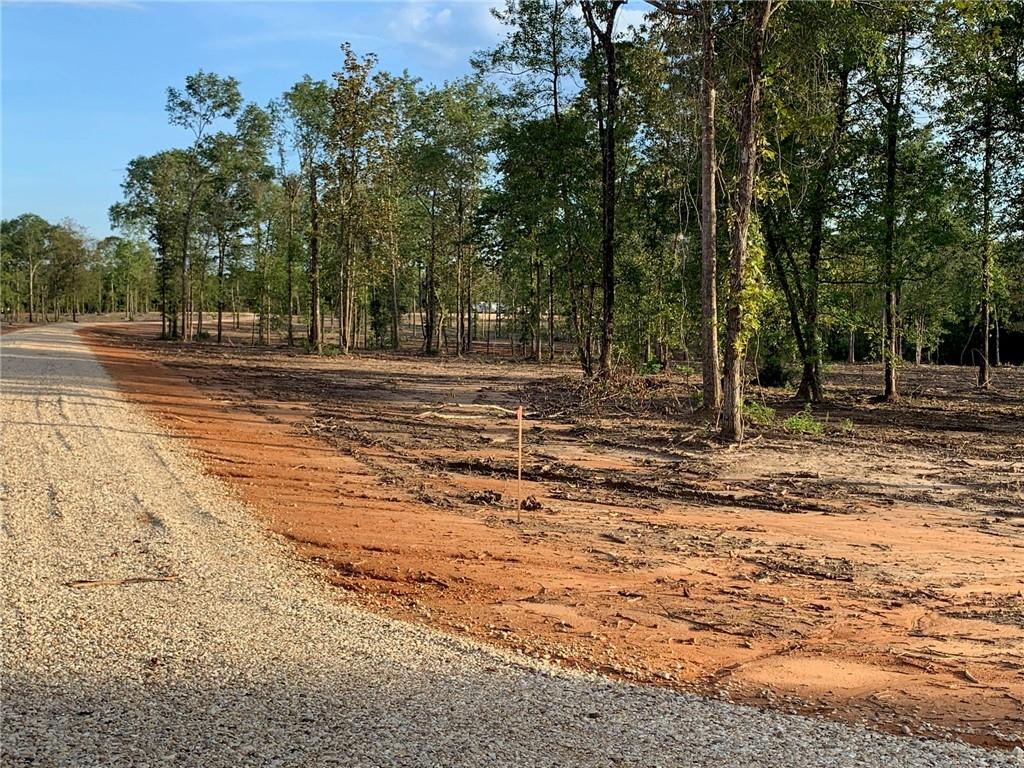 Lot 9 Deer Creek Lane, Franklinton, Louisiana image 12