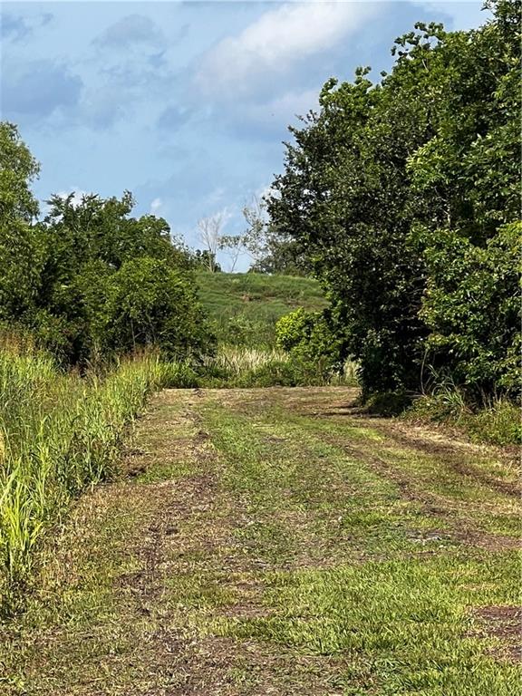 Mudge Lane, Belle Chasse, Louisiana image 10