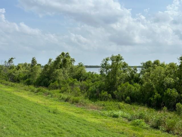 Mudge Lane, Belle Chasse, Louisiana image 2