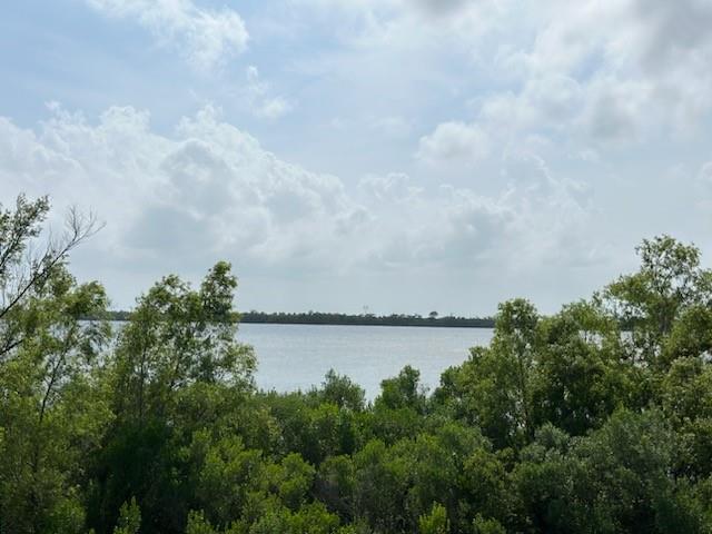 Mudge Lane, Belle Chasse, Louisiana image 3