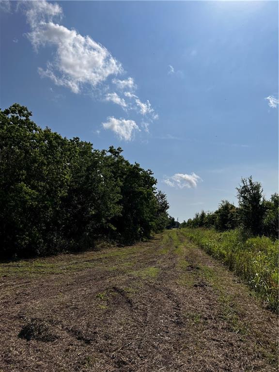 Mudge Lane, Belle Chasse, Louisiana image 8