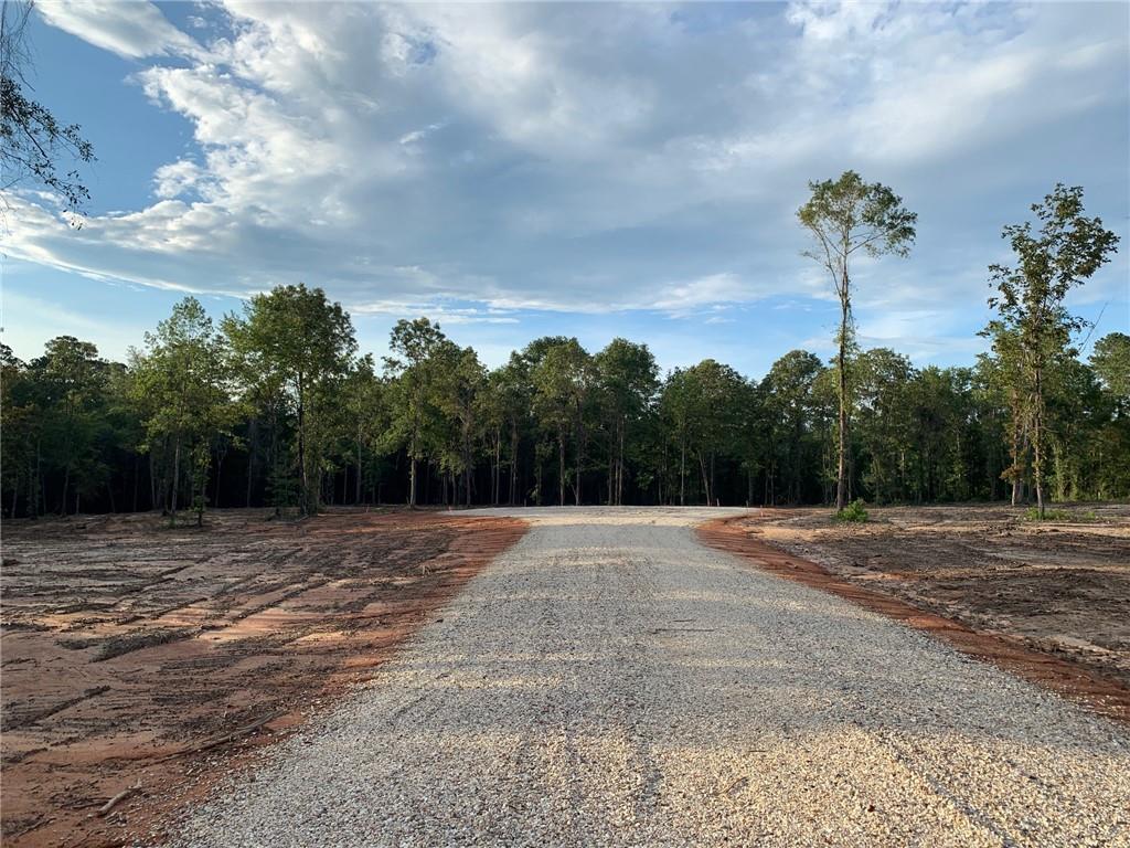 Lot 6 Deer Creek Lane, Franklinton, Louisiana image 6