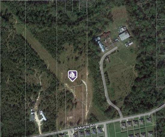 Tract C-4 W Murray Road, Ponchatoula, Louisiana image 2