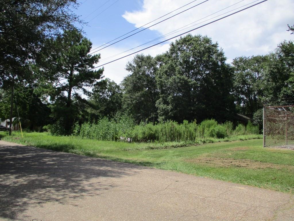 Main Street, Franklinton, Louisiana image 2