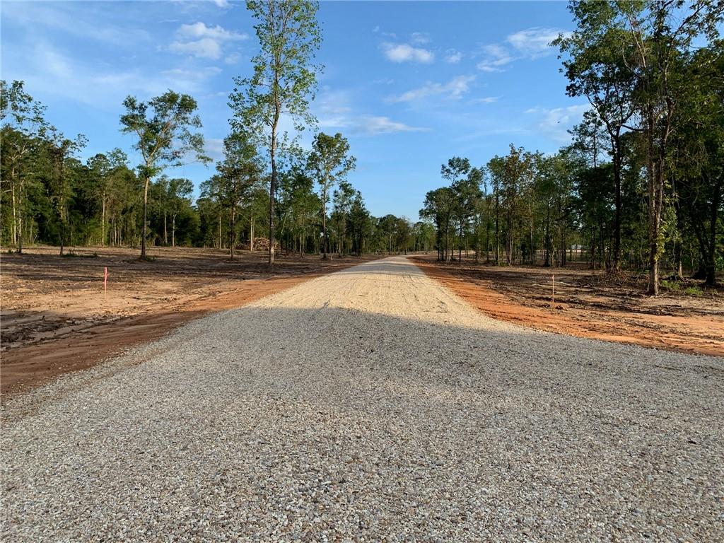 Lot 8 Deer Creek Lane, Franklinton, Louisiana image 13