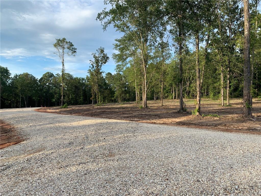 Lot 8 Deer Creek Lane, Franklinton, Louisiana image 14