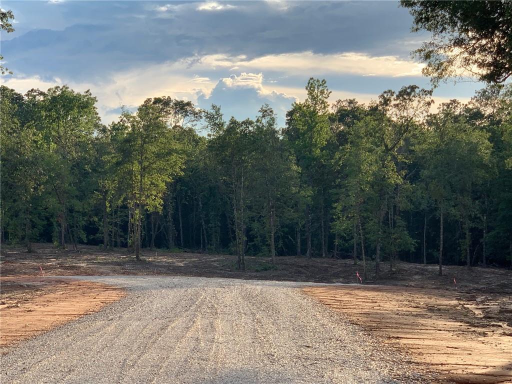 Lot 8 Deer Creek Lane, Franklinton, Louisiana image 4