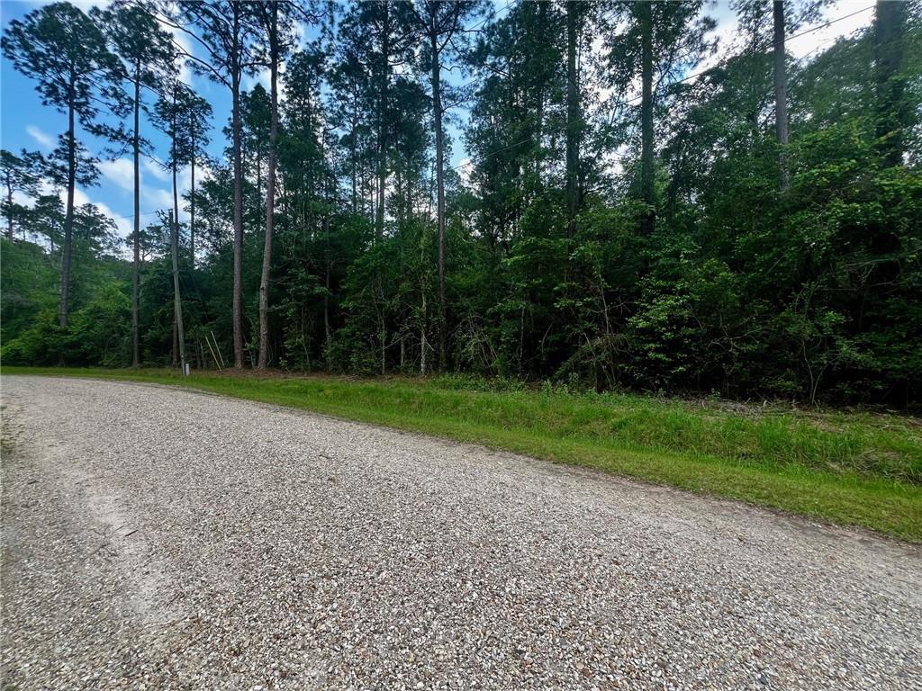 Mashie Street, Abita Springs, Louisiana image 3