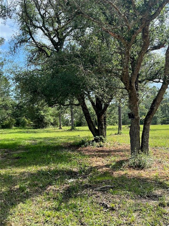 6.72 Acres Clear Creek Road, Covington, Louisiana image 5