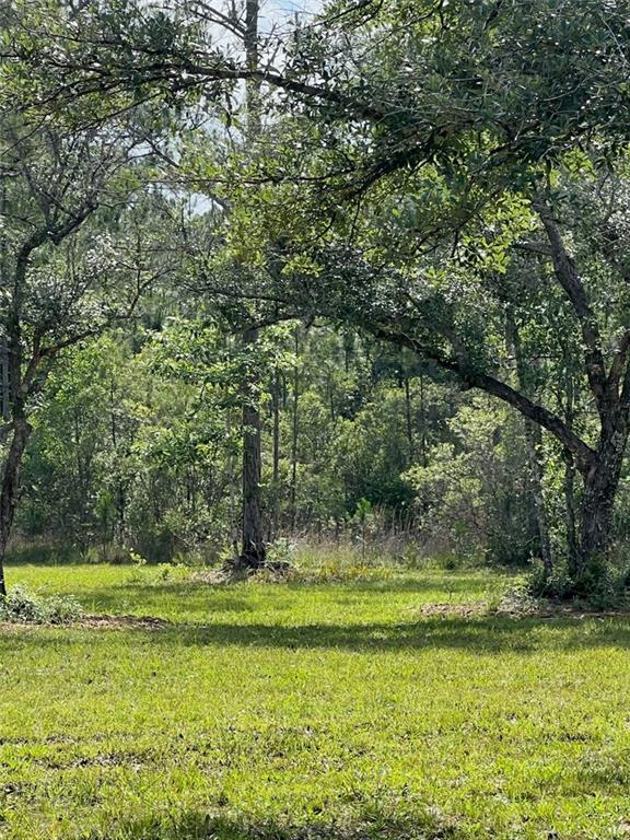 6.72 Acres Clear Creek Road, Covington, Louisiana image 7