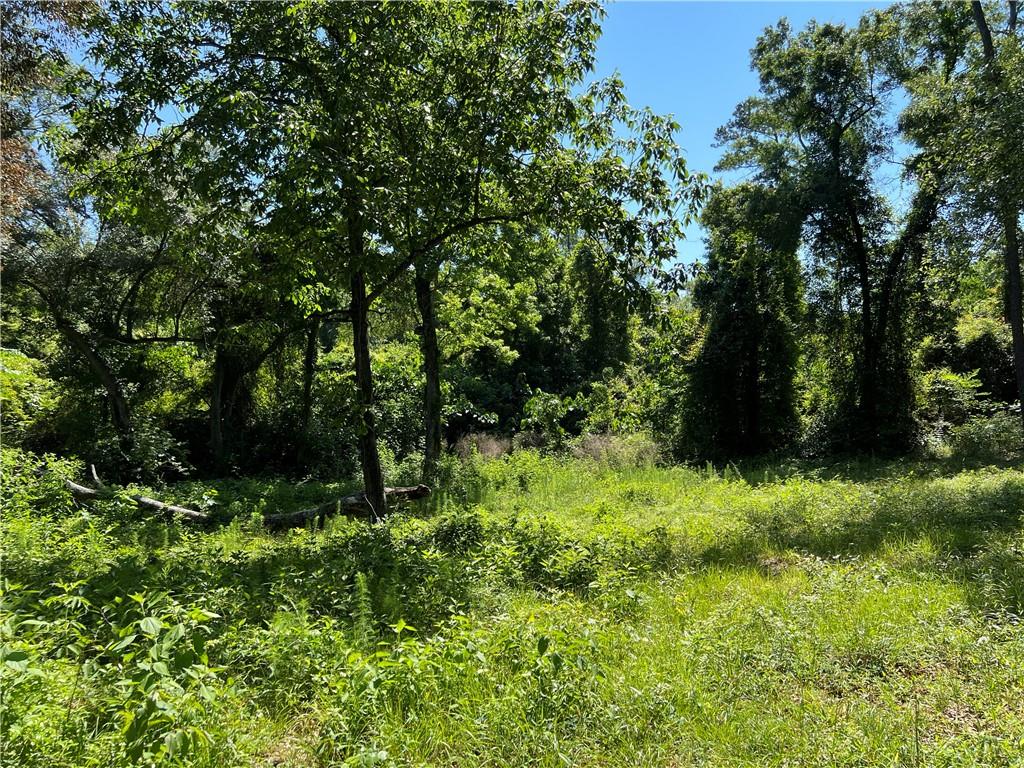 11.4 Acres Cowart Road, Bush, Louisiana image 3