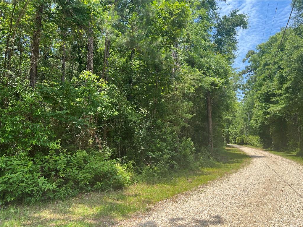 82533 Sms Road, Bogalusa, Louisiana image 10