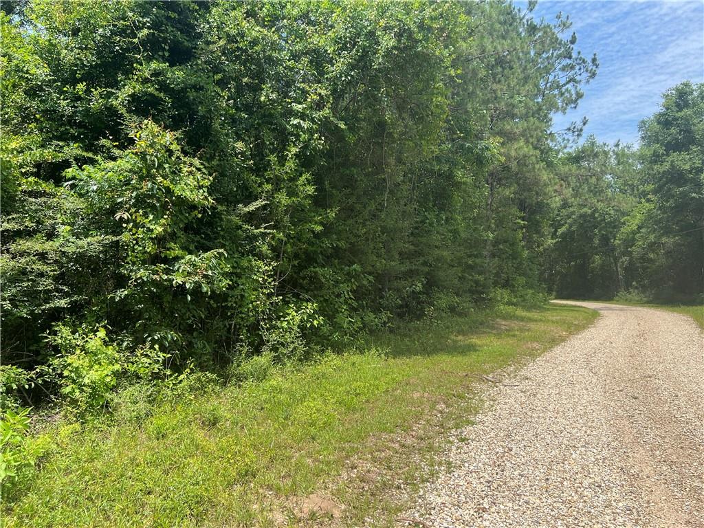 82533 Sms Road, Bogalusa, Louisiana image 9