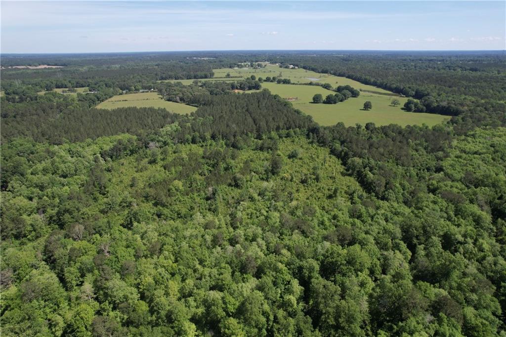 13.87 Acres Lawrence Creek Road, Franklinton, Louisiana image 5