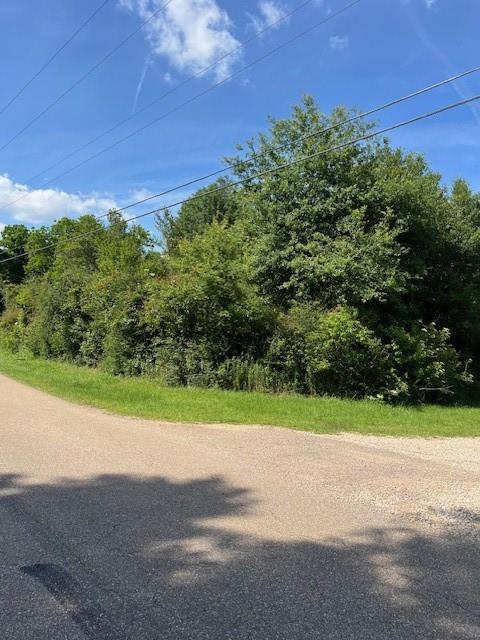 Peg Keller Road, Abita Springs, Louisiana image 7