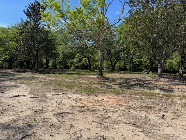 13421 La Hwy 25 Highway, Franklinton, Louisiana image 10