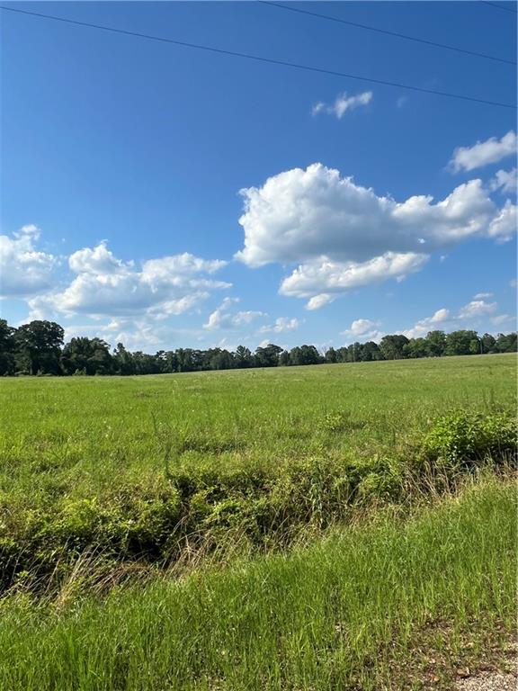 3 Acres Bill Creel Road, Mount Hermon, Louisiana image 1