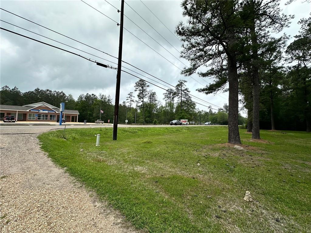 TBD La 445 Highway, Robert, Louisiana image 6