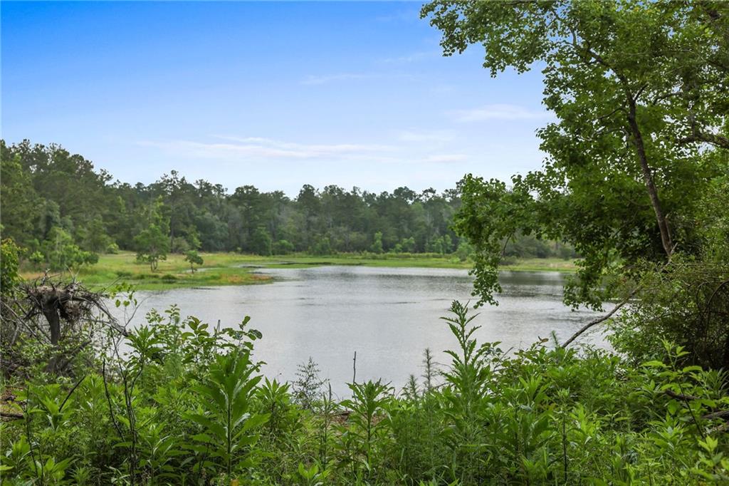 Ogden Lane, Amite, Louisiana image 1