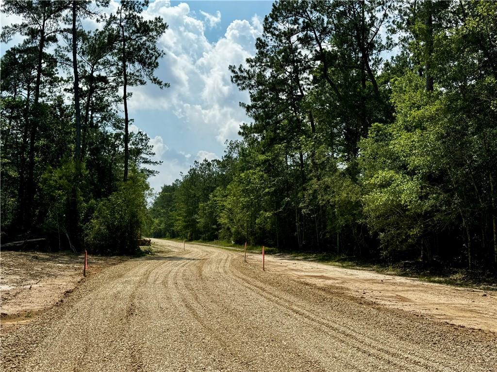 Lot 2 Ranchero Road, Covington, Louisiana image 2