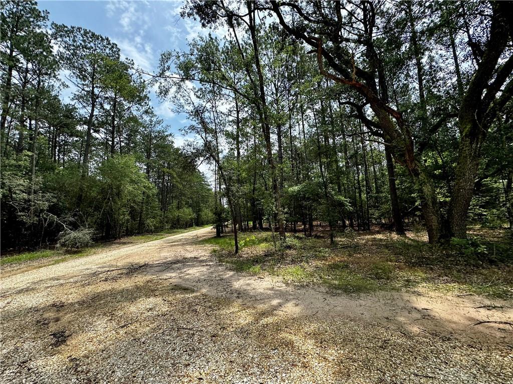 Lot 2 Ranchero Road, Covington, Louisiana image 3