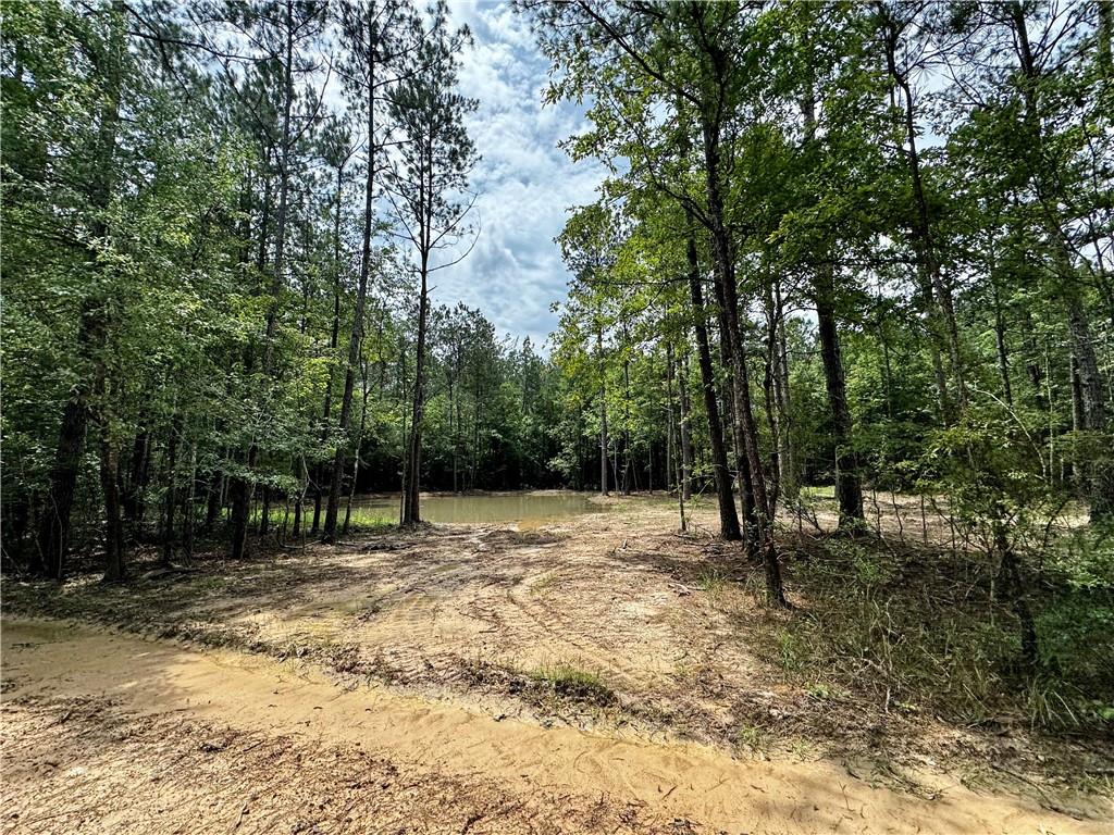 Lot 2 Ranchero Road, Covington, Louisiana image 4