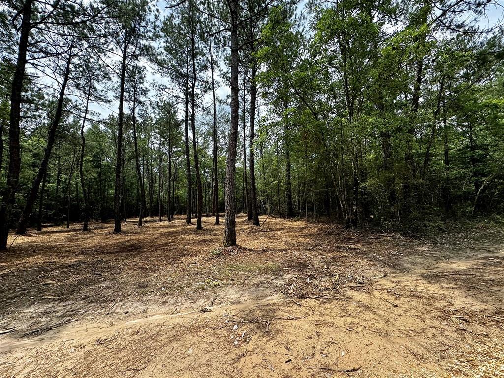 Lot 3 Ranchero Road, Covington, Louisiana image 6