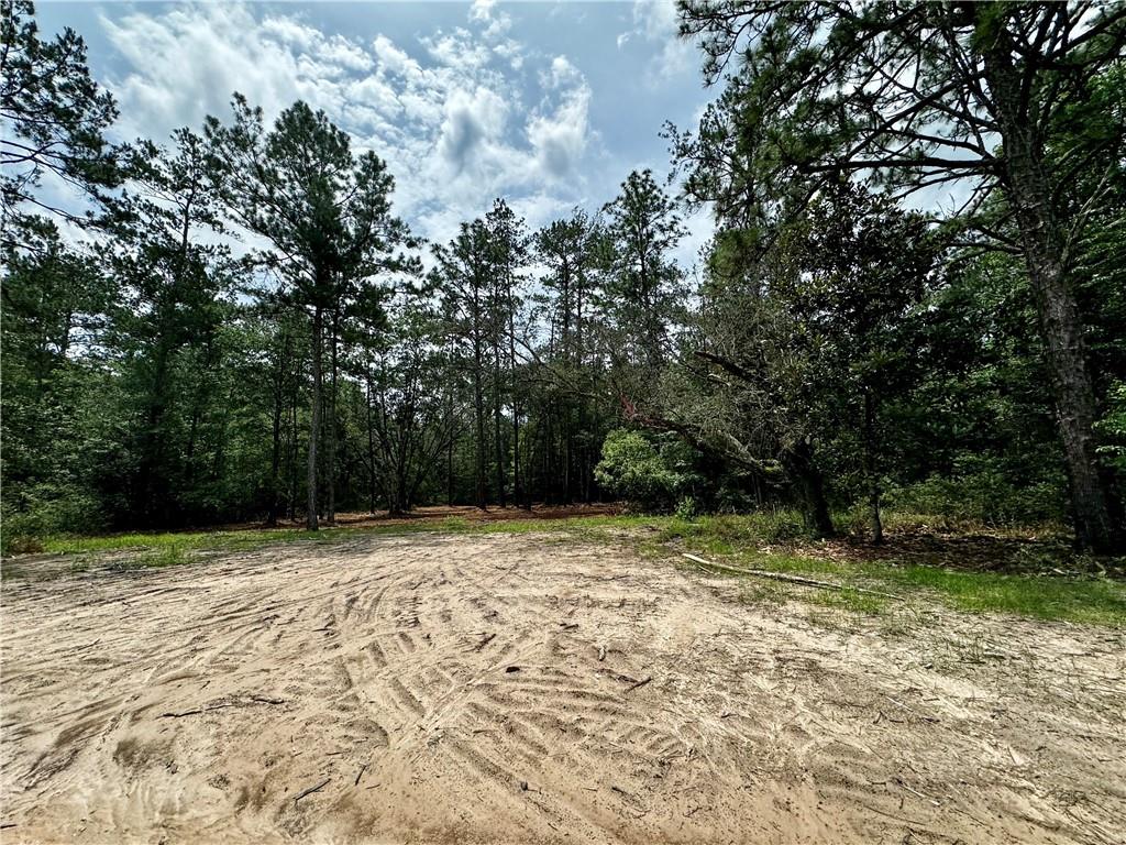 Lot 1 Ranchero Road, Covington, Louisiana image 6