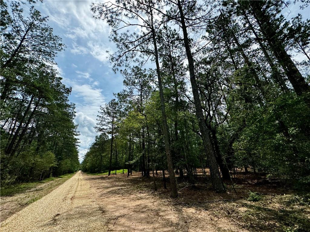 Lot 4 Ranchero Road, Covington, Louisiana image 4