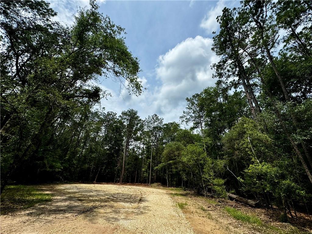 Lot 5 Ranchero Road, Covington, Louisiana image 4