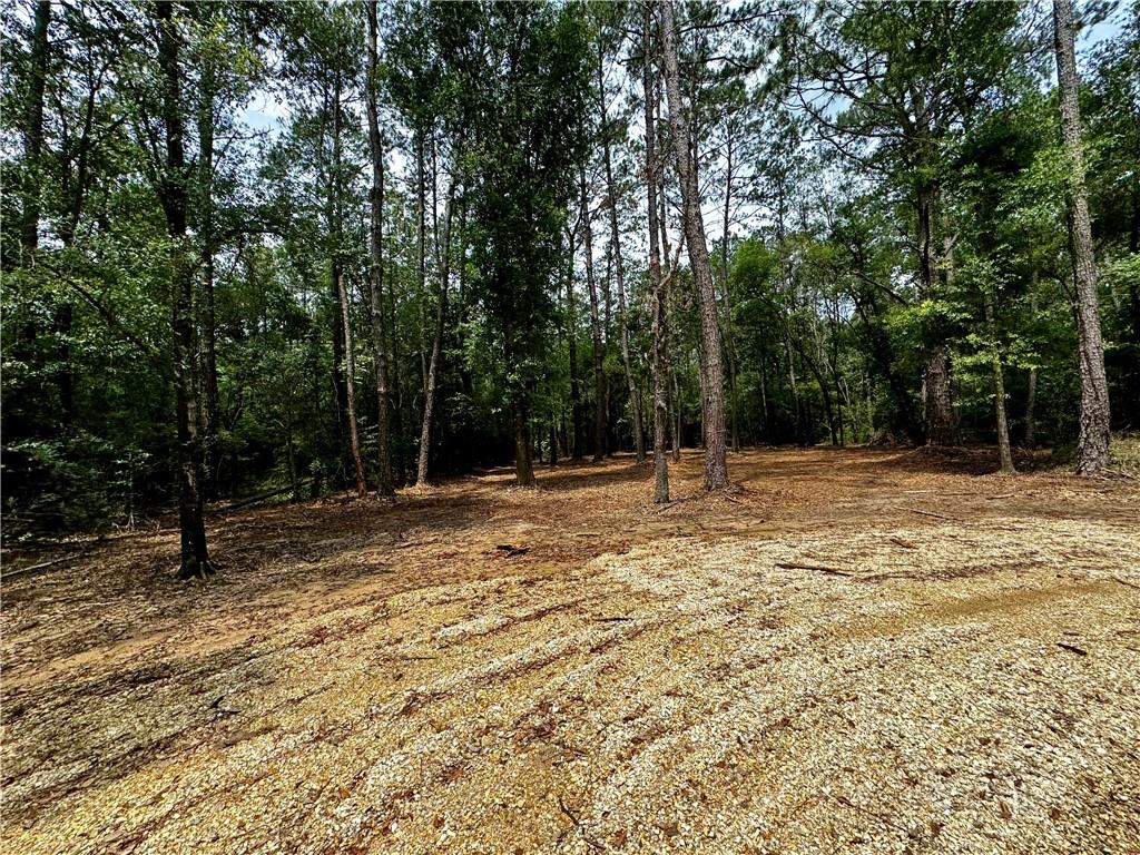 Lot 5 Ranchero Road, Covington, Louisiana image 6