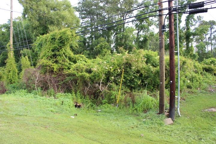 Tract A Florida Boulevard, Albany, Louisiana image 1