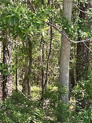 Hwy 190 Boulevard, Slidell, Louisiana image 1